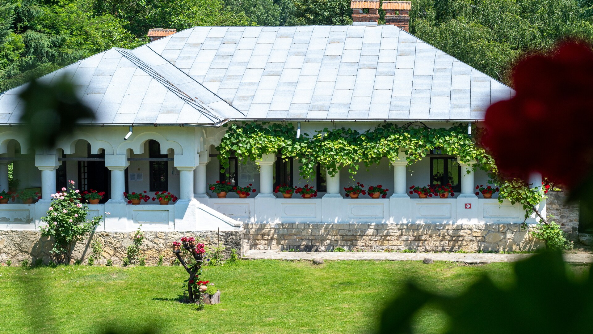 Romanian countryside